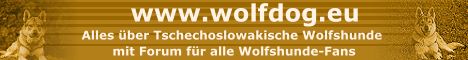 www.wolfdog.eu - Alles über Tschechoslowakische Wolfshunde mit Forum für alle Wolfshunde-Fans