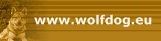 www.wolfdog.eu - Alles �ber Tschechoslowakische Wolfshunde mit Forum f�r alle Wolfshunde-Fans